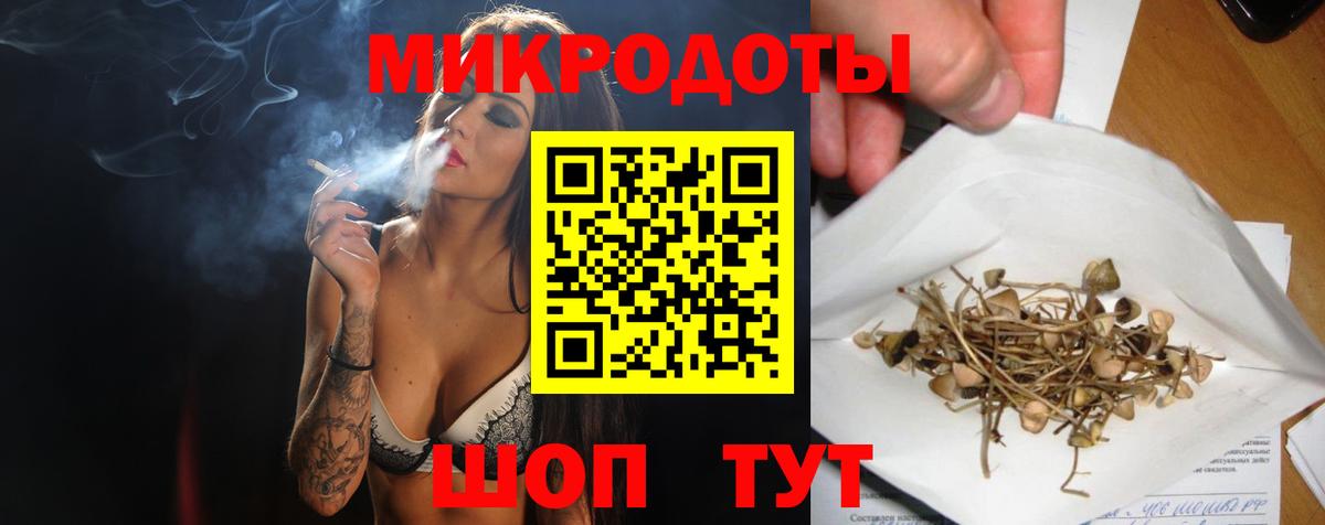 Галлюциногенные грибы Cubensis Анжеро-Судженск