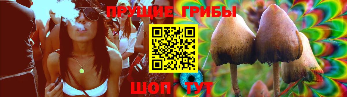Псилоцибиновые грибы Psilocybe  Вход с VPN  Псилоцибиновые грибы Cubensis  Анжеро-Судженск 